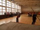 MK ve skoku vysokém. 05.02.2008, tělocvična ZŠ čSA Bohumín.