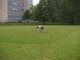 2. atletické úterý. 27. května 2008 - Bohumín.
