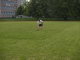 2. atletické úterý. 27. května 2008 - Bohumín.