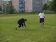 2. atletické úterý. 27. května 2008 - Bohumín.