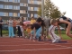 VC Bohumína, 5. ročník. 8. října 2008, Bohumín.