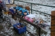 Silvestrovský běh. 30.12.2008, Bohumín.