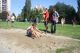 WYGODA OPEN. 11. září 2011, Bohumín.