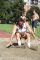 WYGODA OPEN. 11. září 2011, Bohumín.