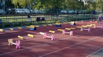 Sdělení trenérům k zahájení sezóny - podzim 2015